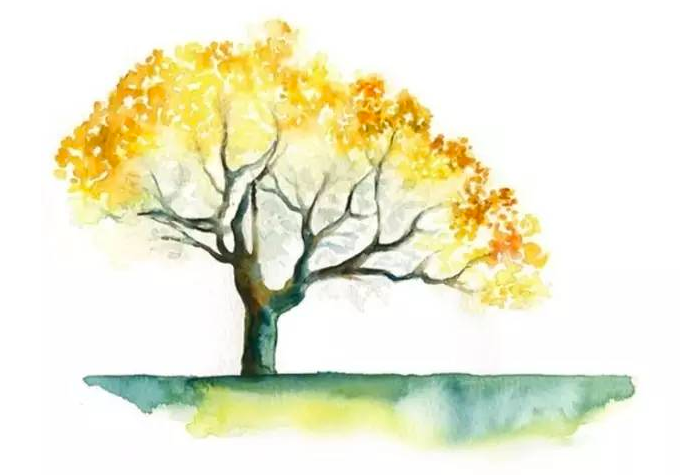 F79f0afc9f7a4e31b10b8c10813146b0